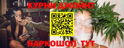 прущие грибы Донской