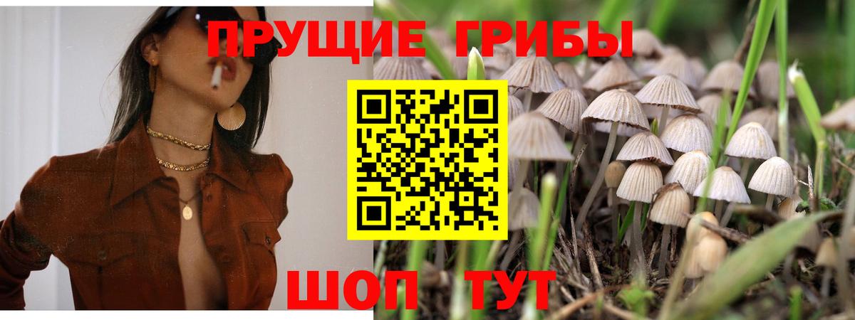 Псилоцибиновые грибы MAGIC MUSHROOMS  сколько стоит  Вход с VPN  Муром  Галлюциногенные грибы MAGIC MUSHROOMS 